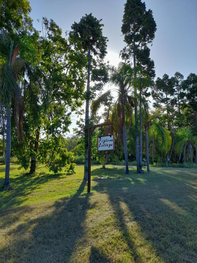 Figtree Cottage - Homestay - Yeppoon Exterior photo